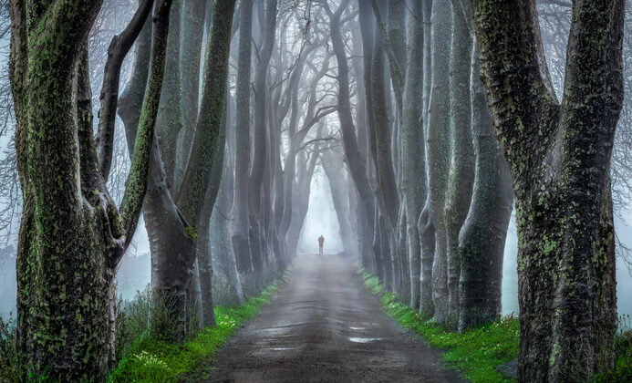 Portal – Maria Sustelo Fstoppers’ta