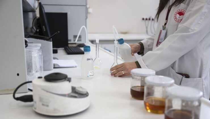 Gıdalarda perfloroalkil bileşenlerinin denetimi kriterler düzenlendi