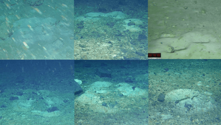 2017’de Büyük Bir Buzdağı Antarktika’daki Buz Rafını Kırdığında, Bilim Adamları Altında Tuhaf İşaretler Buldu