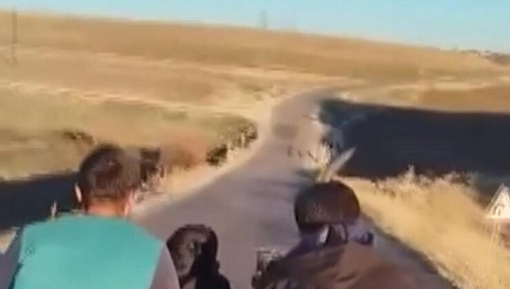 Yolculuklarını çekerken işte böyle kaza yaptılar