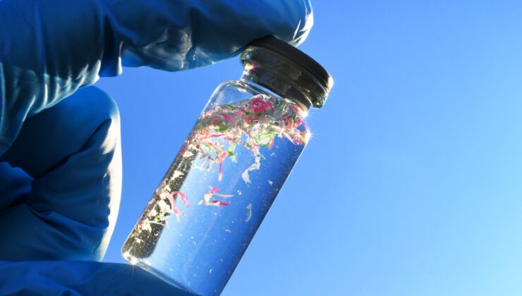 Mikroplastiklerin Olası Başka Bir Riski mi? Antibiyotiğe Dirençli Bakteriler