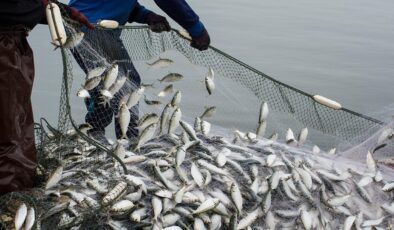 Doğu Karadeniz’den 10 ayda 29 ülkeye su ürünü ihraç edildi