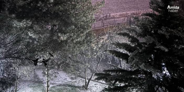 Diyarbakır: Tahliye oldu, eşini öldürüp gömdü