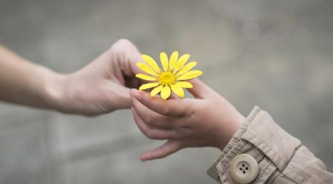 Toplumsal İlişkilerde Nezaket Kurallarına Uymanın Önemi Nedir, Neden Önemlidir?