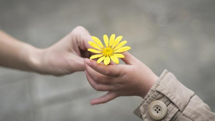 Toplumsal İlişkilerde Nezaket Kurallarına Uymanın Önemi Nedir, Neden Önemlidir?