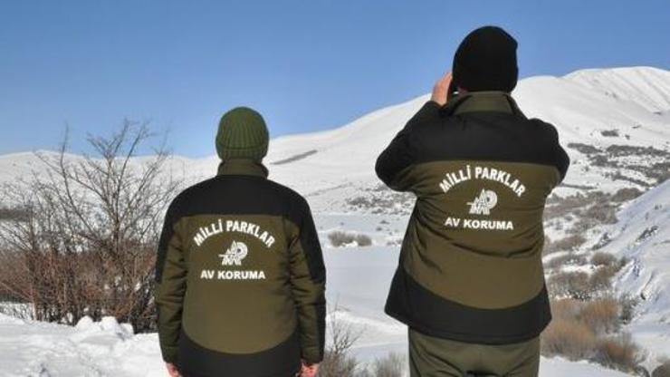 Yaban keçisi vuran avcıya 1 milyona yakın para cezası – CNN Türk Haberler Son Dakika