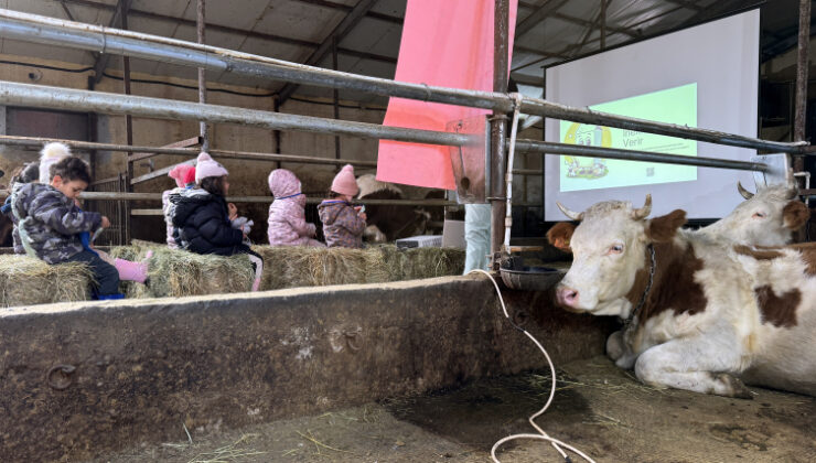 Ardahan'da Minik Çiftçi Akademisi: Anaokulu öğrencilerine hayvancılık ve tarım öğretiliyor