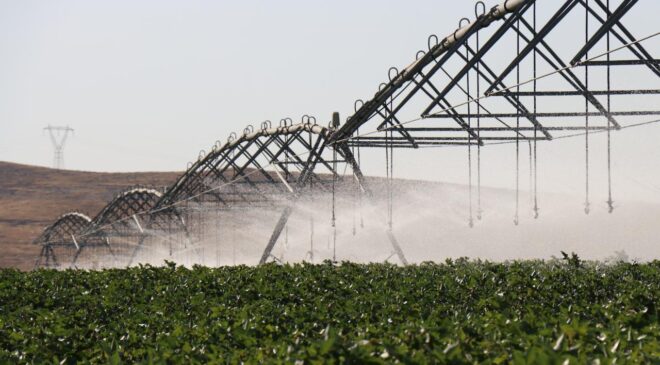 DAP Bölge Kalınma İdaresi 12 yılda 2 bin 86 projeye destek verdi