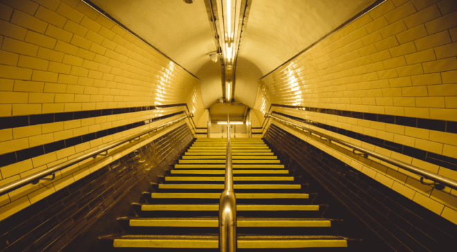 “Kentsel Süper Güçlere” Sahip Hayvanlar Londra Yeraltında Saklanıyor ve Bazıları Kanınızı İçmek İstiyor