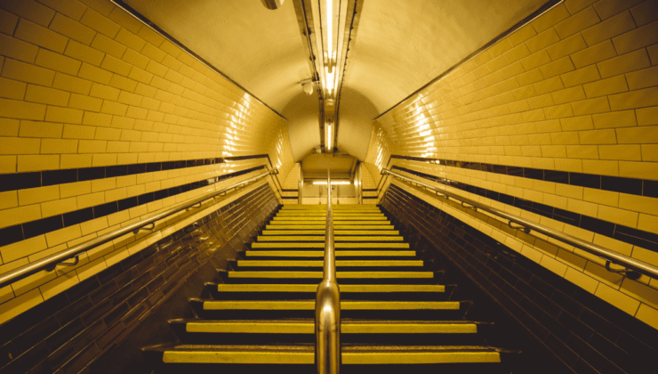 “Kentsel Süper Güçlere” Sahip Hayvanlar Londra Yeraltında Saklanıyor ve Bazıları Kanınızı İçmek İstiyor