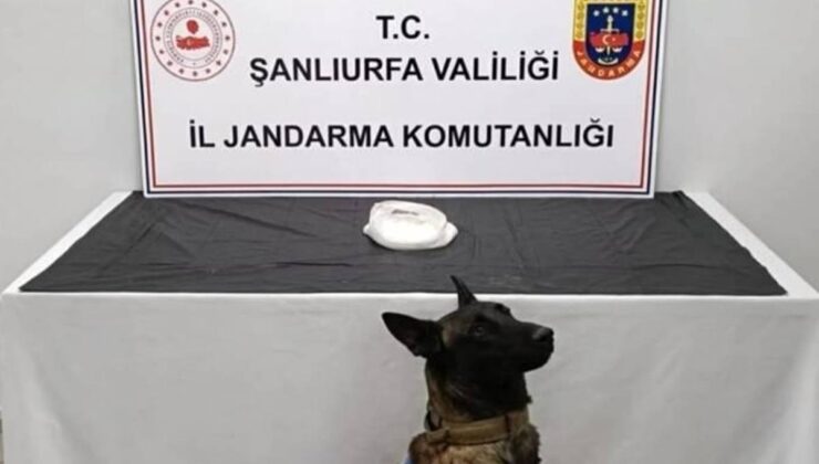 Şanlıurfa’da uyuşturucu satıcılarına operasyon: 2 gözaltı