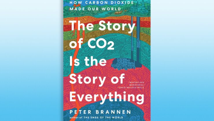 Burası Karbon Dioksitin Dünyası – Biz Sadece İçinde Yaşıyoruz