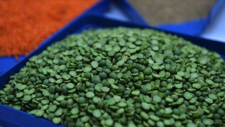 Yeşil mercimek ve yulaf ithalatında gümrük vergileri indirildi