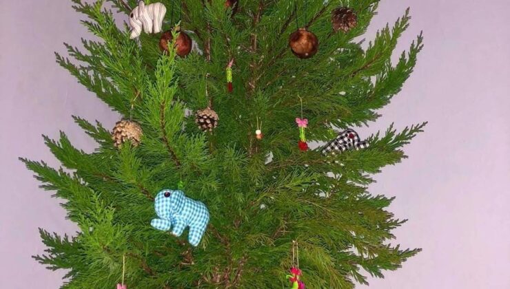 Atıksız, ekolojik bir Noel ağacı mümkün! – Elida Zerri