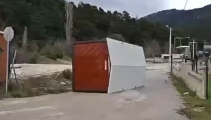 Bursa'da kuvvetli rüzgar: Ağaçlar devrildi