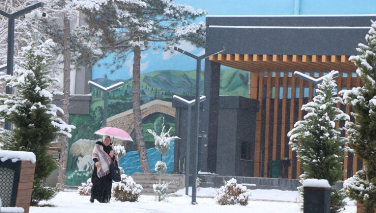 Van’da kar nedeniyle 90 yerleşim yeri ulaşıma kapandı, 2 ilçede okullar tatil