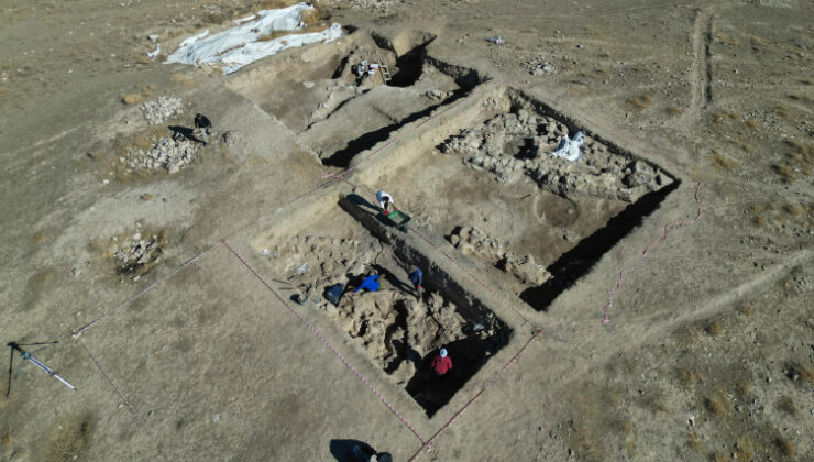 Van’da 5 bin yıllık arpa taneleri bulundu