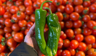 Batı Akdeniz’in ihracat şampiyonu biber oldu