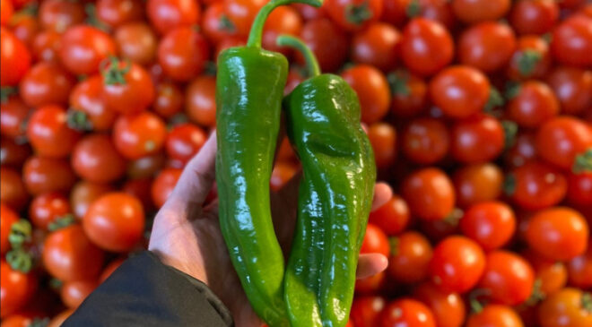 Batı Akdeniz’in ihracat şampiyonu biber oldu