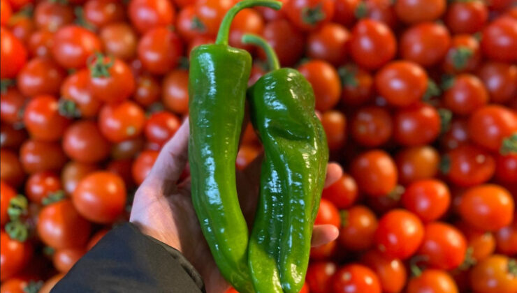 Batı Akdeniz’in ihracat şampiyonu biber oldu