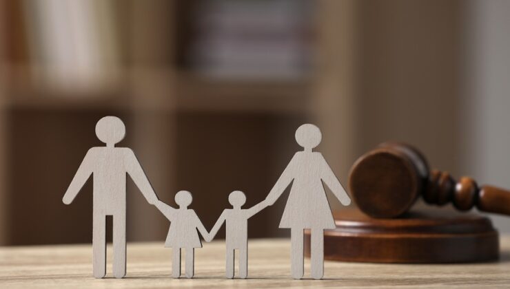 TCK 229’a Bir Hiciv… – Prof.Dr. Ayşegül Akbay – Akademik Akıl