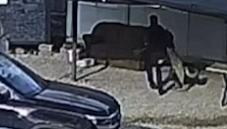 Beslediği köpek saldırdı