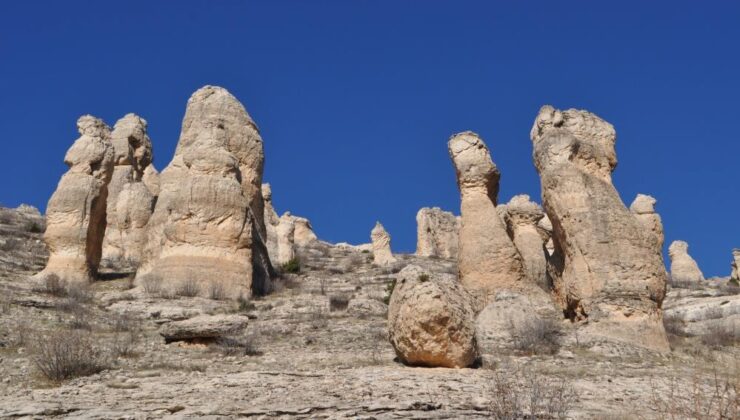 Mehdi Zana’nın kız kardeşi hayatını kaybetti