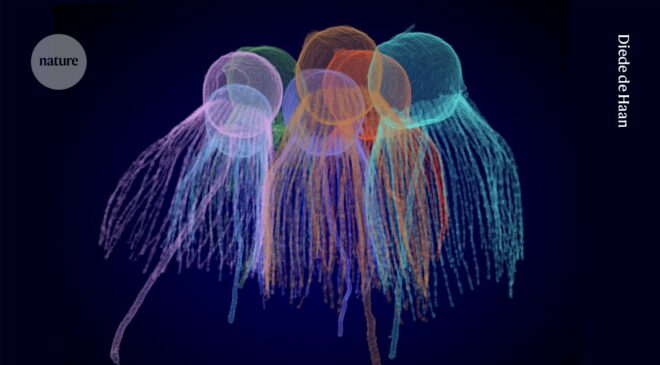 Yaşam nasıl çok hücreli hale geldi? Beş basit organizmanın cevabı olabilir