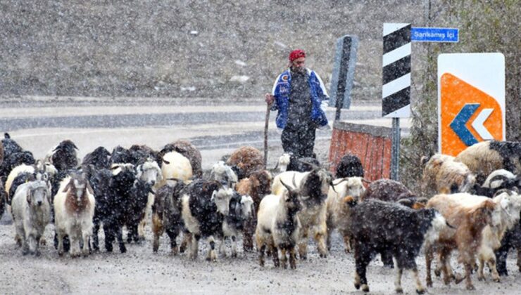 Doğu'ya kış tipiyle birlikte geldi!