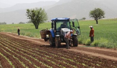 Tarımsal destek ödemesi bugün yapılacak