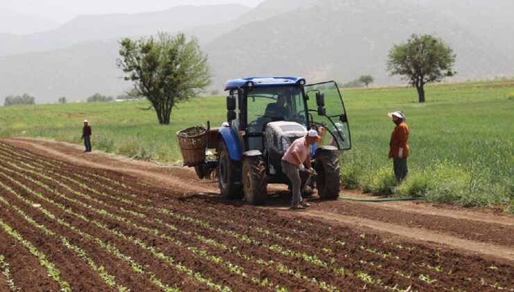 Tarım sayımının yüzde 90'ı tamamlandı