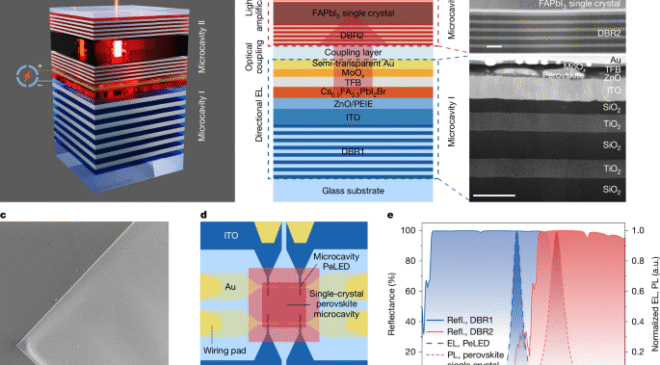 Çift boşluklu bir perovskit cihazdan elektrikle çalıştırılan lazer
