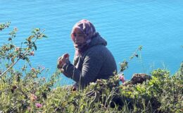 Oğlu için feryat etmişti! Bakan Göktaş’tan talimat: İşlemleri durdurun – Son Dakika Haberler CNN Türk