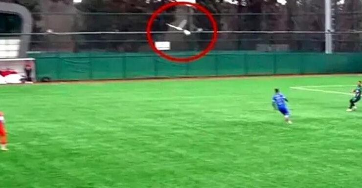 Maç esnasında top çarpan martıya kalp masajı! – Son Dakika Haberleri CNN Türk | Video