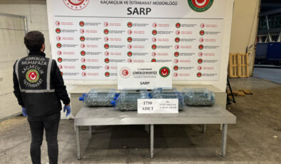 Ticaret Bakanlığı ekipleri 85 binden fazla canlı hayvan ele geçirdi