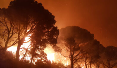 Geçmeyen tehdit: Orman yangınları