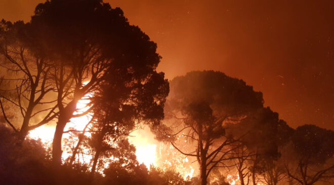 Geçmeyen tehdit: Orman yangınları