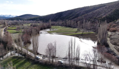 Kar suları taşkına yol açtı, köprü yıkıldı