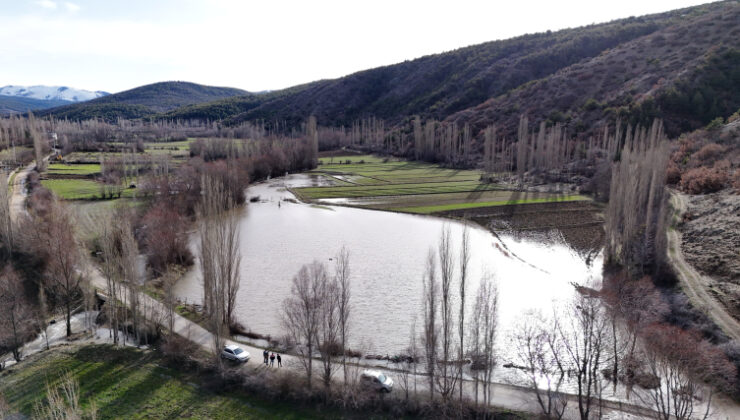 Kar suları taşkına yol açtı, köprü yıkıldı