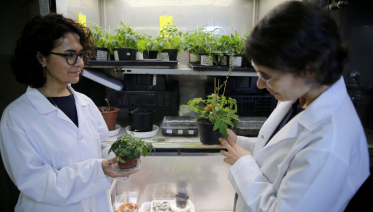 Uzay tarımı için Türkiye'den önemli adım