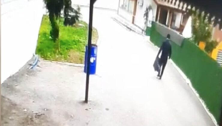 Devrilen ağacın altında kalmaktan son anda kurtuldu