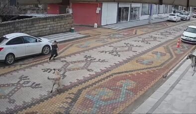 Başıboş sokak köpeğinin saldırdığı çocuğu esnaf kurtardı