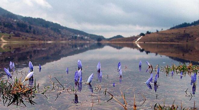 Cemrenin ikincisi suya düştü