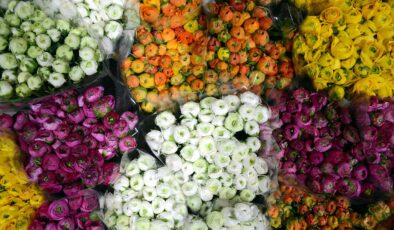 Türkiye’den 83 ülkeye 160 milyon dolarlık çiçek ihracatı