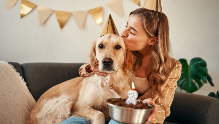 1 Köpek Yılı Gerçekten 7 İnsan Yılı ile Aynı mı?