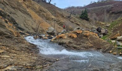 Diyarbakır kaybolan zihinsel engelli yaşlı adamı arama çalışmaları sürüyor