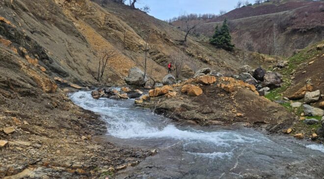 Diyarbakır kaybolan zihinsel engelli yaşlı adamı arama çalışmaları sürüyor