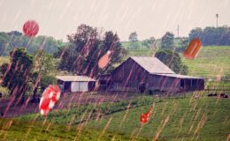 1876’nın Kentucky Et Yağmuru: Şöyle Geldi "Kar taneleri"