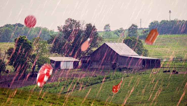 1876’nın Kentucky Et Yağmuru: Şöyle Geldi "Kar taneleri"