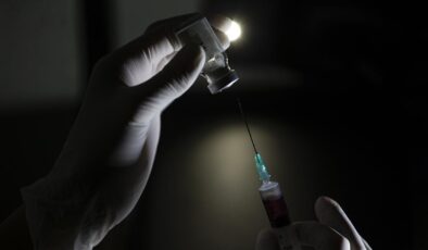 İstanbul'da kuduz riskli temas arttı: 123 bin başvuru